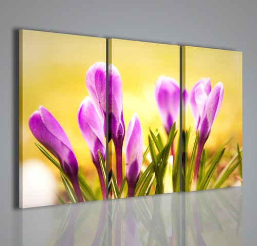 Quadro moderno first flower - quadro,