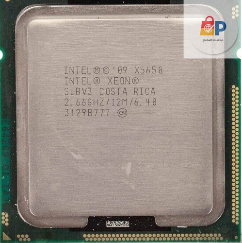 Processori cpu intel xeon - processori,