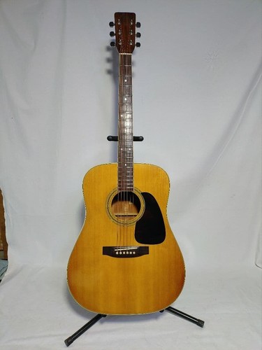 Chitarra acustica takamine - chitarra,
