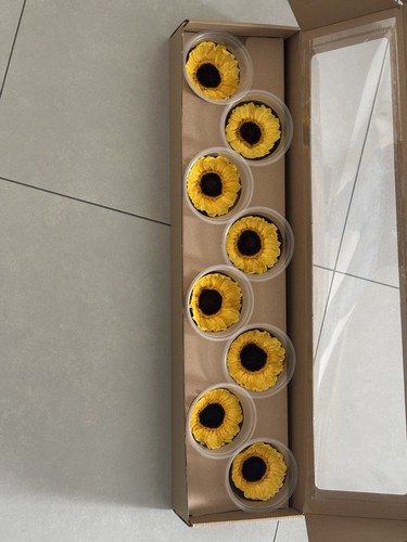 Girasole stabilizzato vita - girasole,