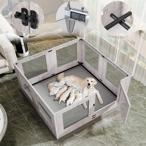 Box per cani - , acrilico