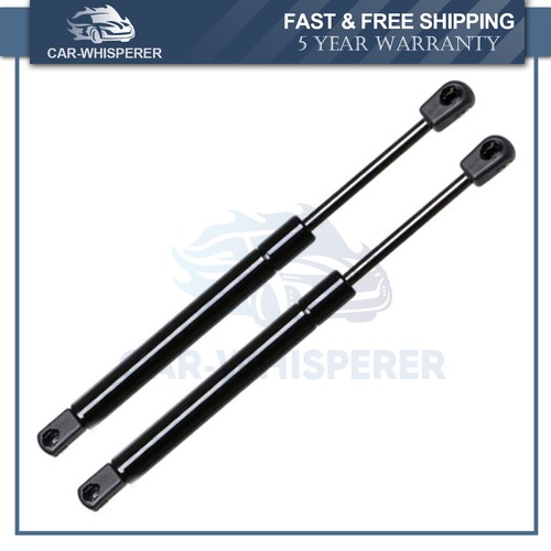 Rear trunk tailgate - rear,