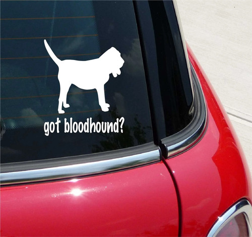 Got bloodhound adesivo - got, bloodhound?