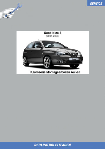 Seat ibiza guida - ibiza,