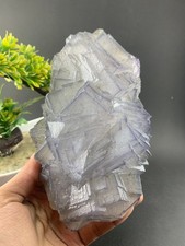 3 libbre naturale raro