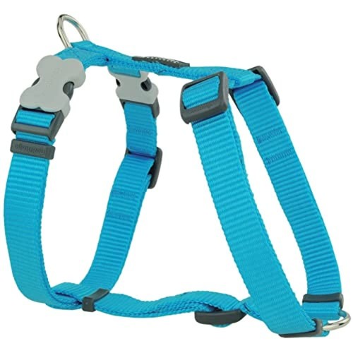 Imbracatura per cani dingo - imbracatura,