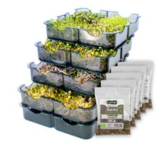 Germogliatore Semi Professionale Manuale Multifunzione 5 vassoi + 5 SEMI OMAGGIO