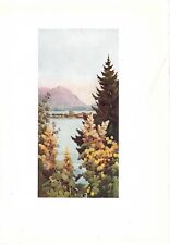 LAGO MAGGIORE Giardino con vista sull'isola STAMPA ANTICA 1905 Antique print