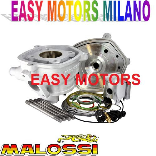 311151 gruppo termico malossi - gruppo,