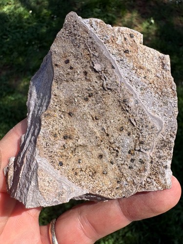 Minerali sardegna - minerali, ⚒️