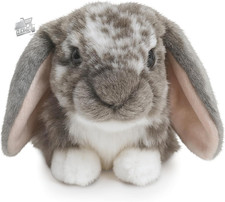 Natural - Dutch Rabbit Shaped