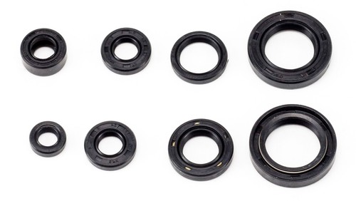Kit guarnizioni olio motore