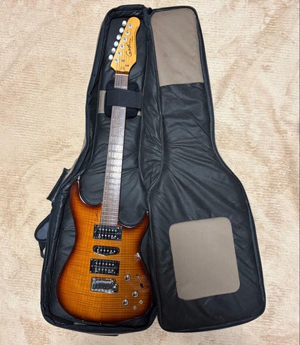 Chitarra elettrica godin - elettrica,