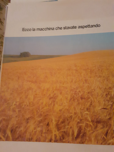 Brochure depliant mietitrebbia - brochure/depliant,