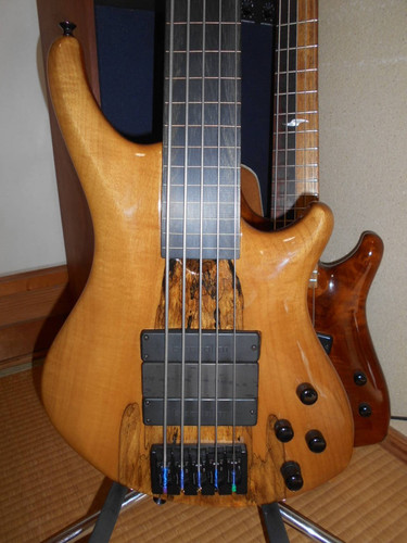 Roscoe skb3005 fretless basso - roscoe,