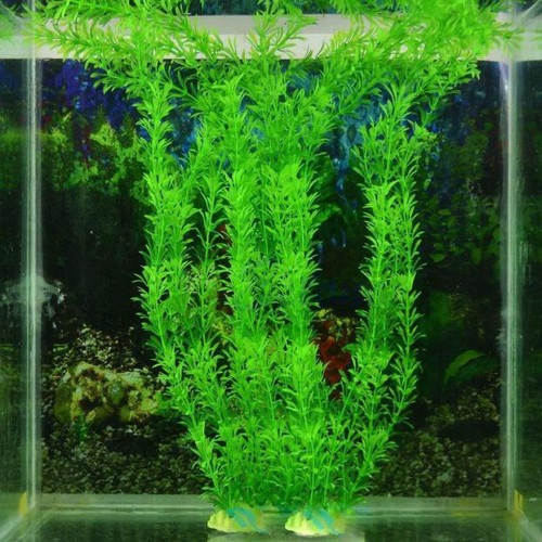 Piante artificiali plastica - piante, in