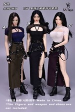 SATOYS SA049 1/6 Agente