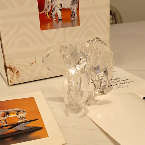 Swarovski scs 1993 - 1993, inspiration
