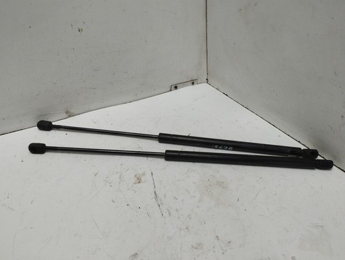 D56070 ammortizzatori baule - ammortizzatori,