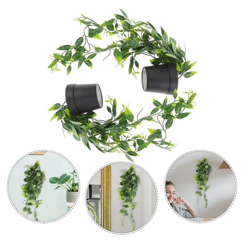 Pcs pianta cadente - 2,