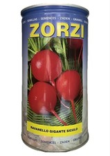 Ravanello gigante siculo da gr. 500