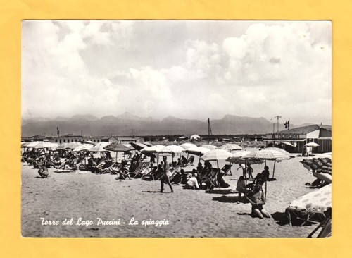 Torre del lago - torre,