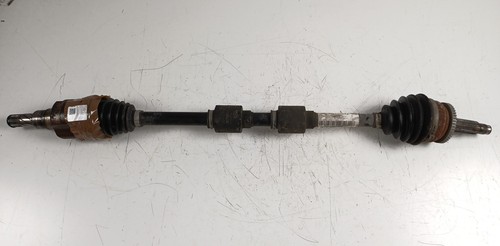 3390100021 semialbero ant - 3390100021,