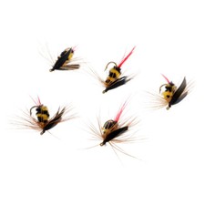 5pcs esche artificiali - 5pcs, insetto