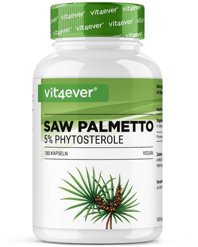 Saw palmetto - palmetto,