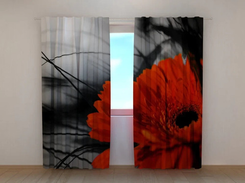 Tende rosso nero - tende, e