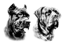 POSTER LOCANDINA QUADRO ADESIVO - CANE CORSO PITBULL DOGO AMSTAFF PERSONALIZABLE