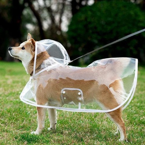 Impermeabile trasparente cane