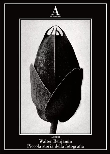 Walter benjamin piccola - benjamin.,