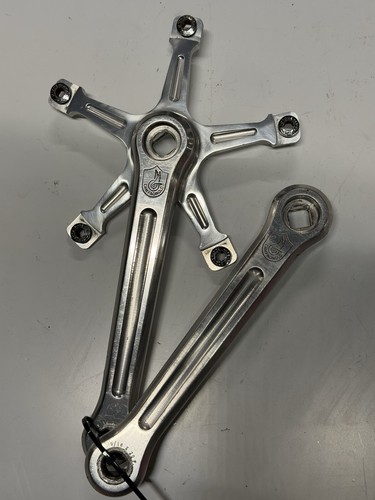 Guarnitura pista campagnolo - pista,