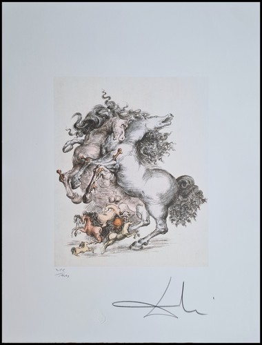 Salvador dali cavalli 65 x - 65,