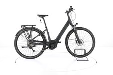 Wittich Bi 10.2 E-bike da