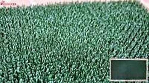 Zerbino plastica verde - verde, erba