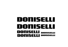 adesivi bici -  6 adesivi  Doniselli - stickers Doniselli
