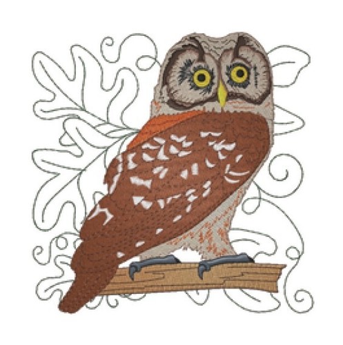 Macchina ricamo disegni usb - disegni,