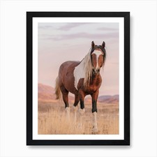 Paint Horse In Desert Art