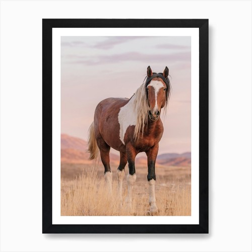 Quadro dipinto cavallo - , nel