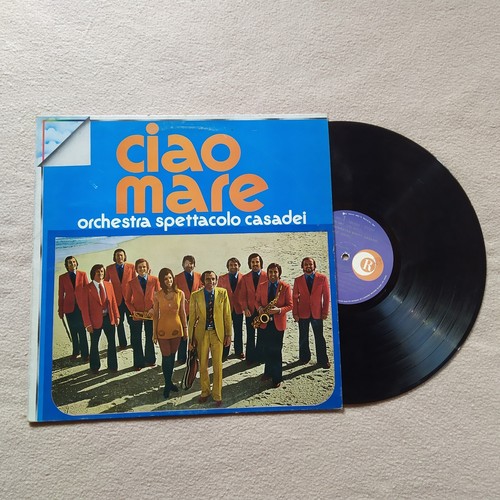 Disco vinile giri - vinile, 33