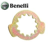 210306030000 RONDELLA PIGNONE