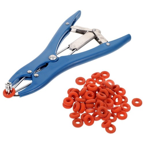 Kit fascia elastica emorroidi - kit,