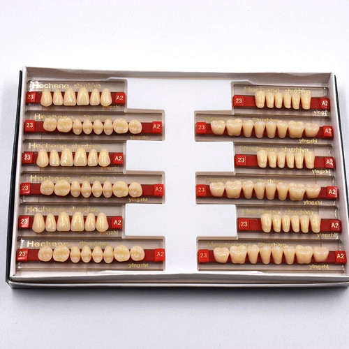 Denti set dentale acrilico - denti/set,