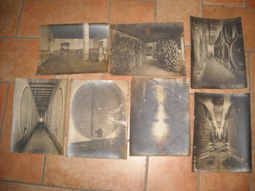 Enologia antica cantine - enologia, antica-cantine