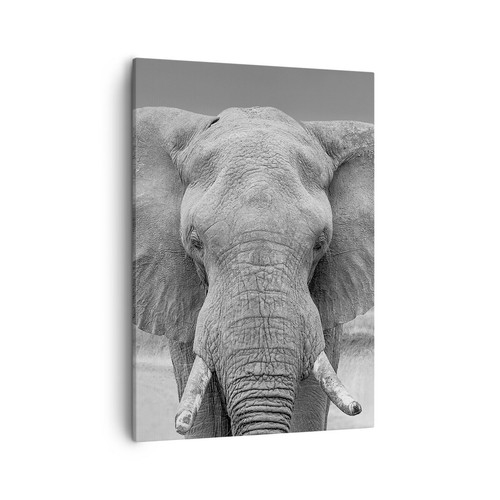 Quadro tela 50x70cm - quadro,