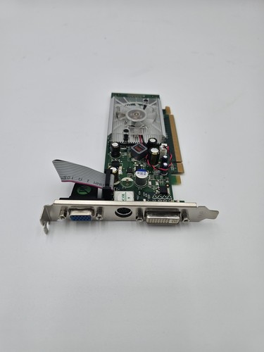 Nvidia geforce 8400gs 256mb - nvidia, 8400gs-lx