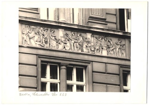 Fotografia schimmel - f., m.
