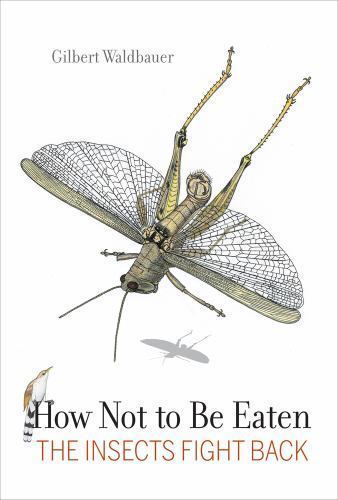 How not eaten the - how, to